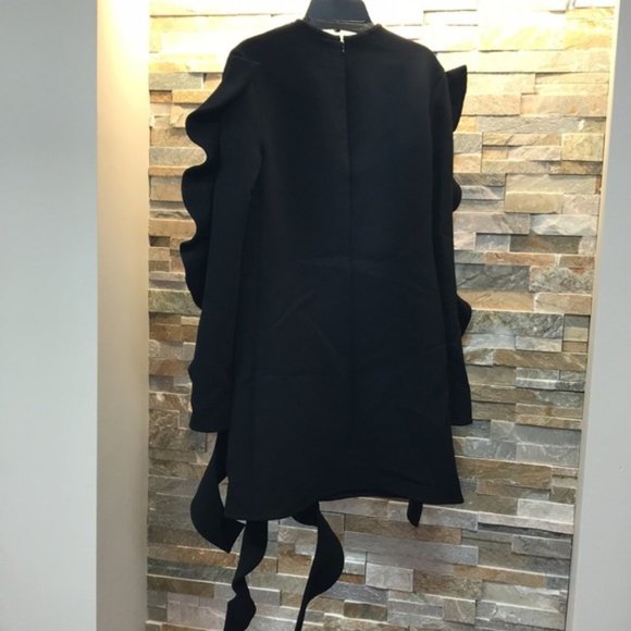 ELLERY ROMERO MINI DRESS WITH FRILLS - Picture 3 of 6